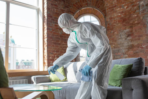 Mold Remediation for Rental Properties in Hunter, TN