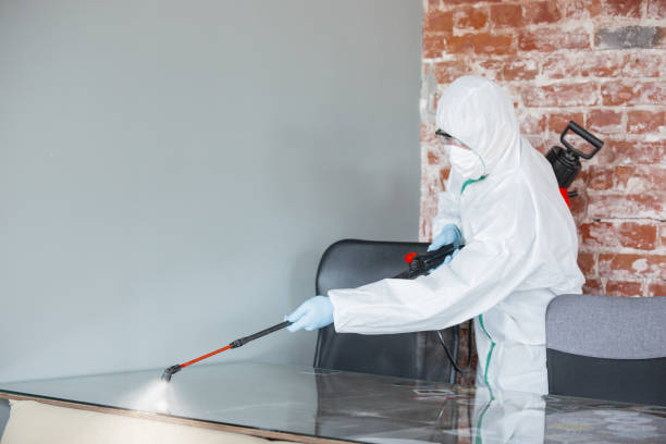 Best Environmental Consulting for Mold Prevention  in Hunter, TN