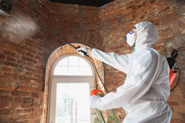 Best Mold Remediation for Rental Properties  in Hunter, TN